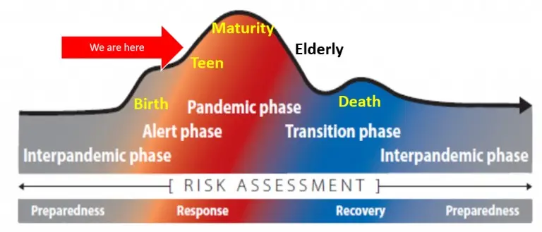 pandemic lifecycle 768x329
