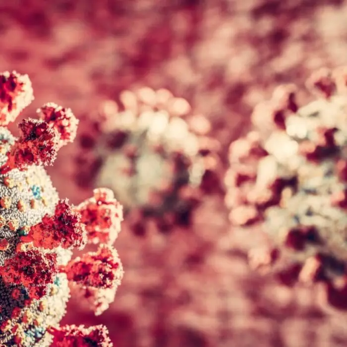 coronavirus covid 19 attack. covid corona virus cells attacking lungs