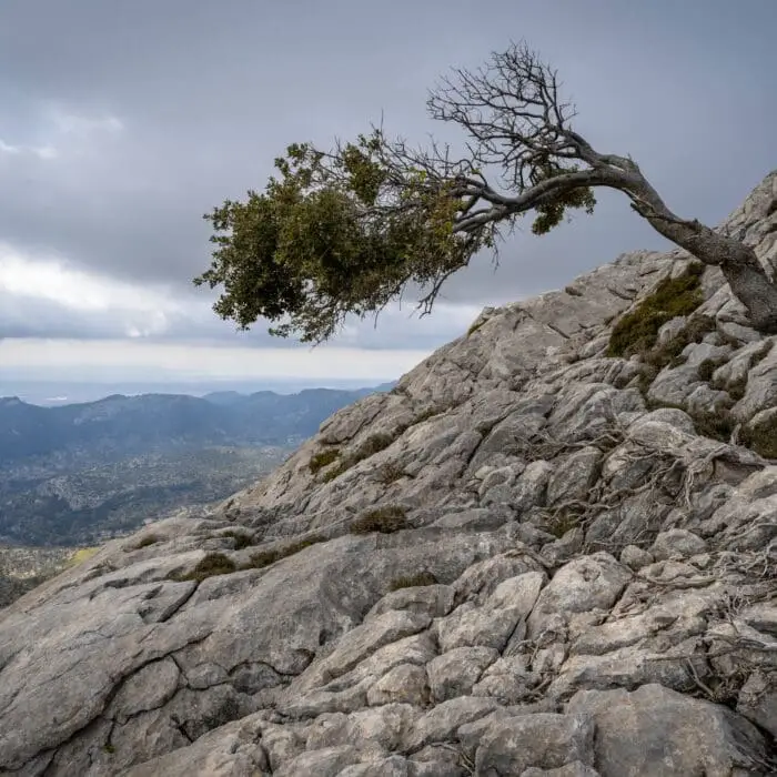 pedro sanz 5viucbixywa unsplash scaled