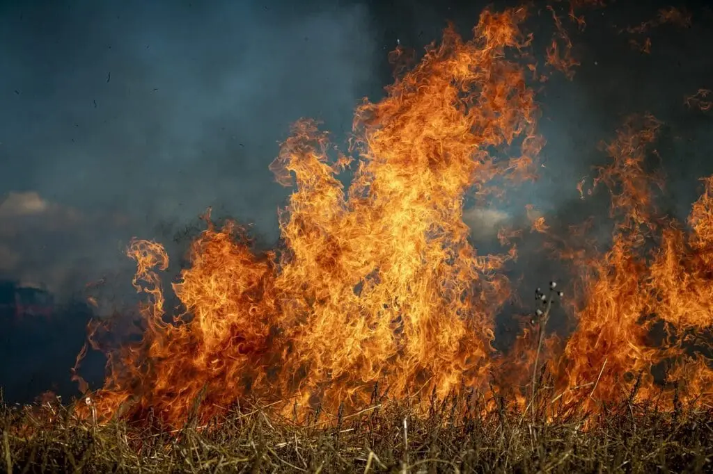 fire image
