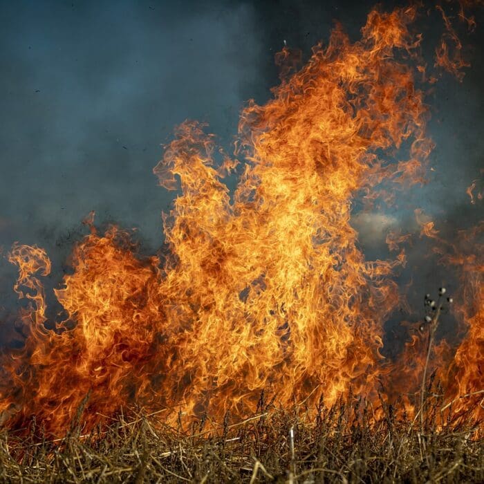 fire image