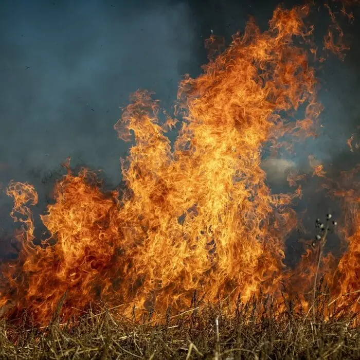 fire image