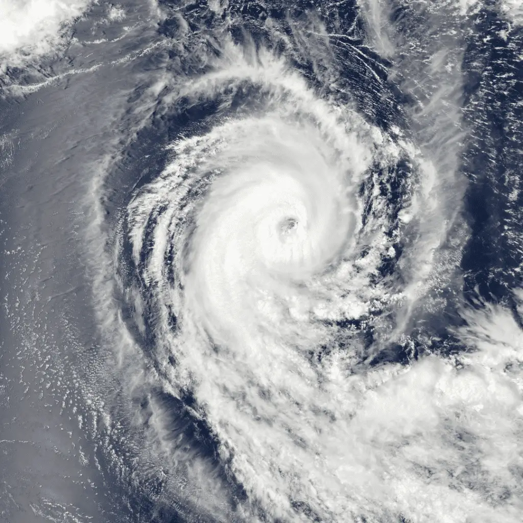 facing the storm