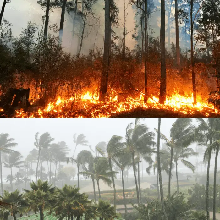 bushfire risk management