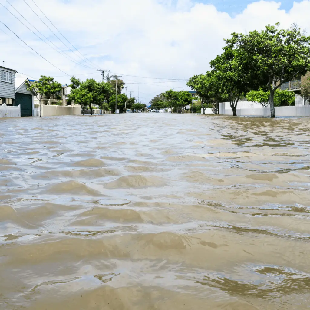 flood website