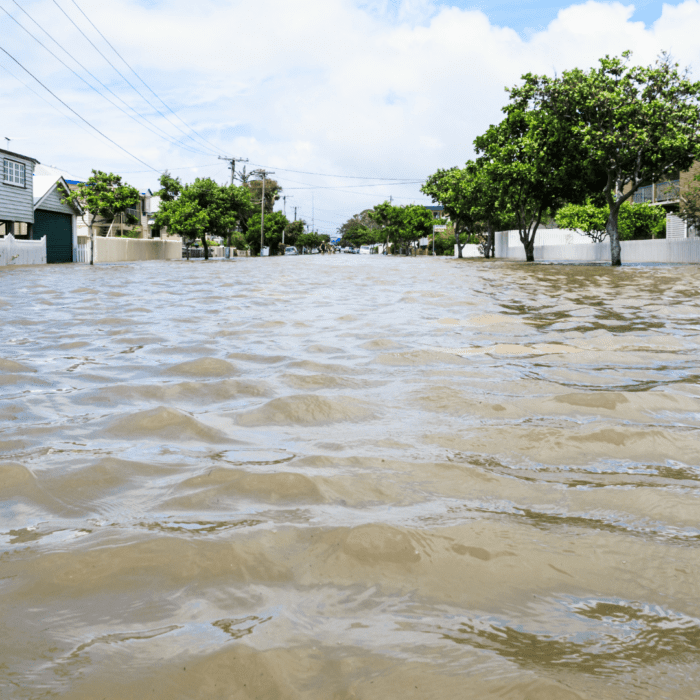 flood website