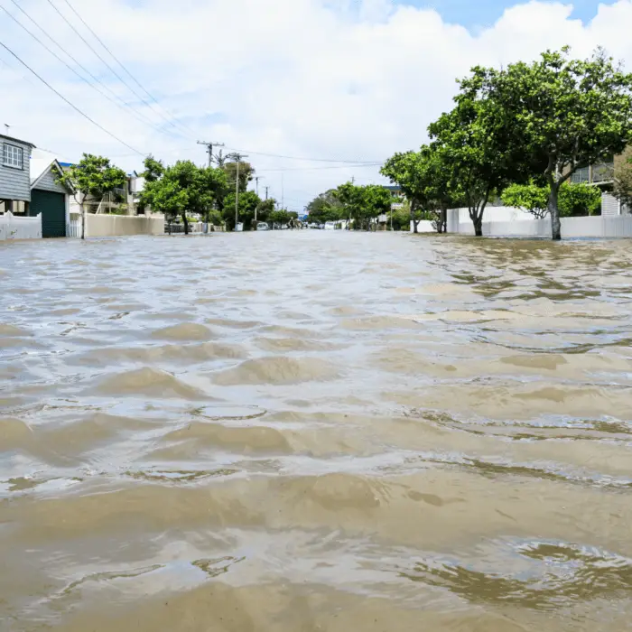 flood website