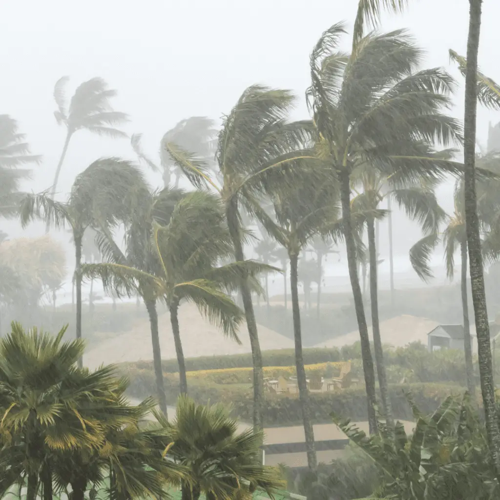 cyclone