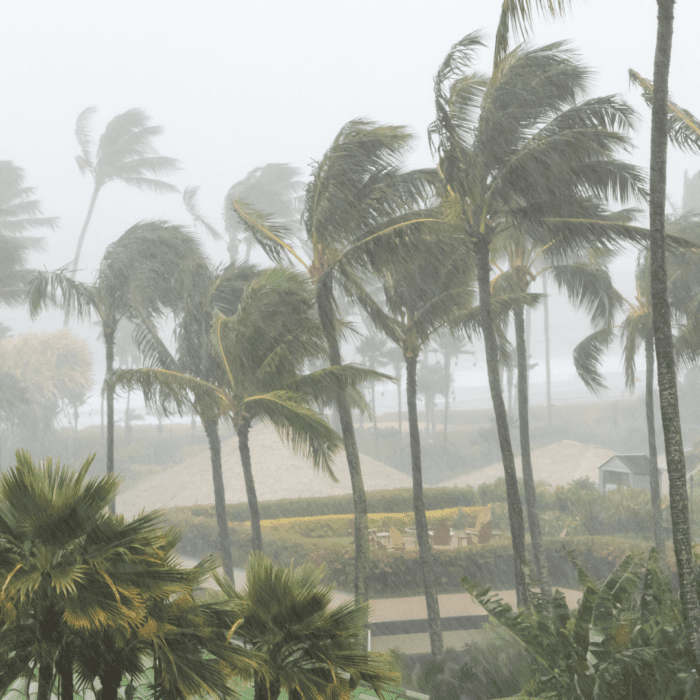 cyclone