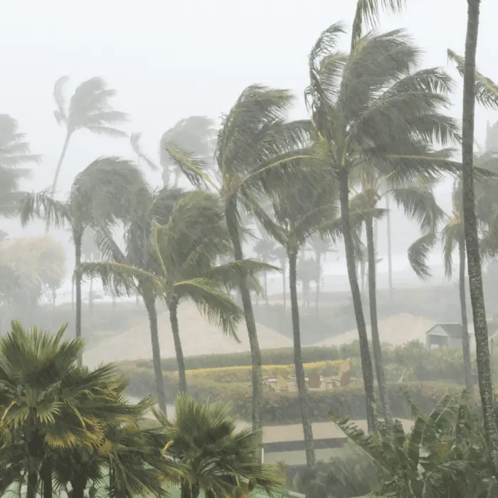 cyclone