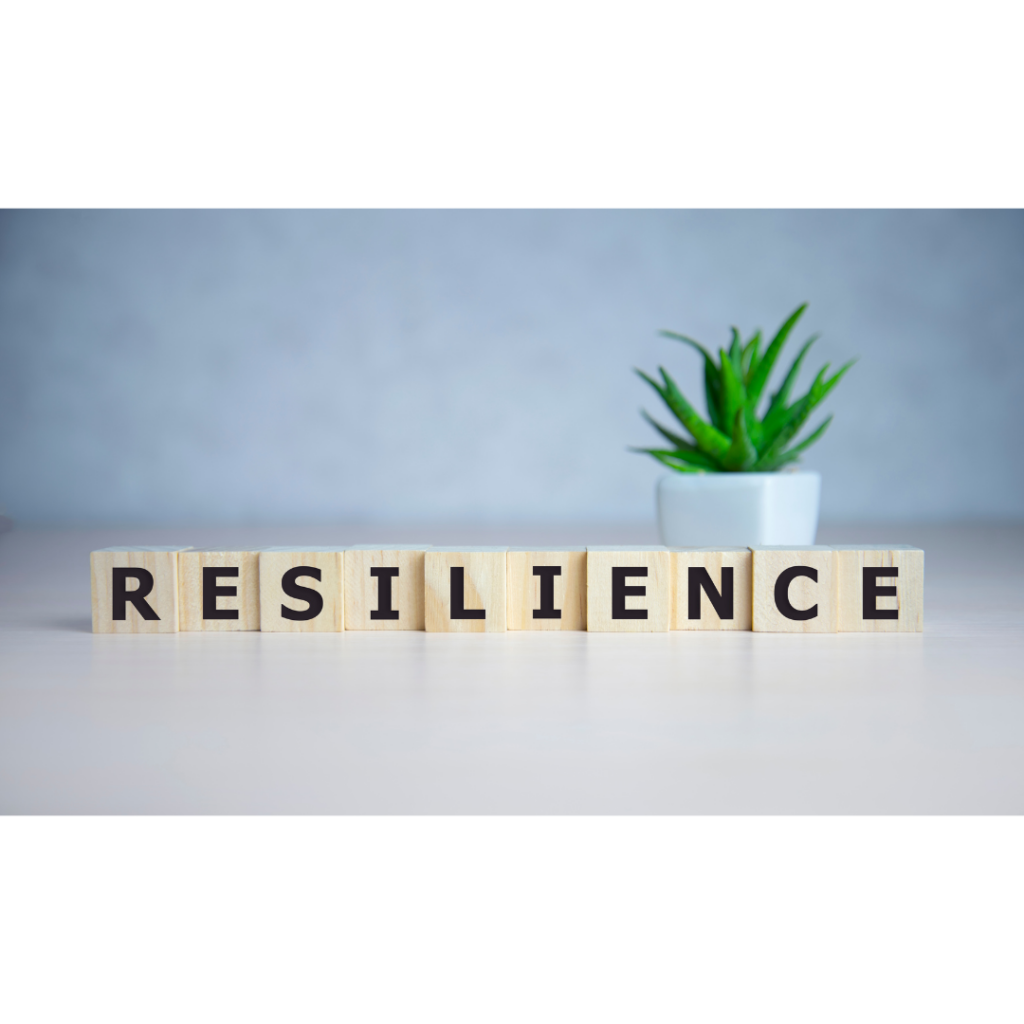 organisational Resilience