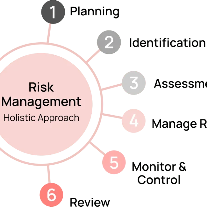Risk Management Process