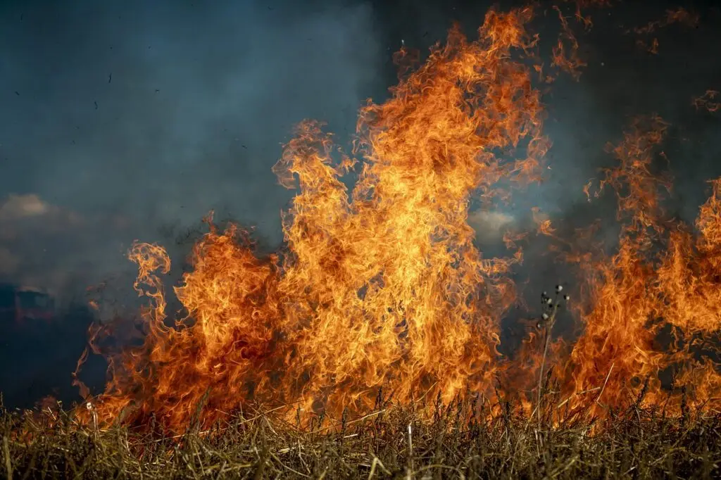 Bushfire Emergency Response & Emergency Management