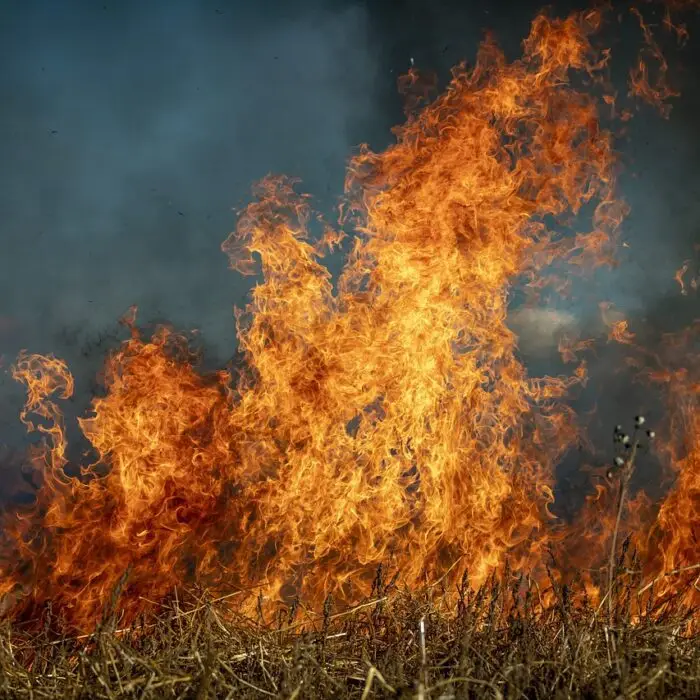 Bushfire Emergency Response & Emergency Management