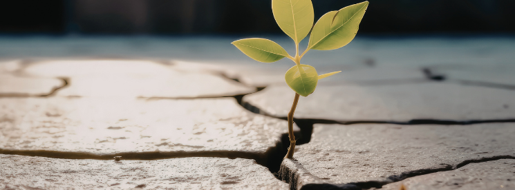 What is Business Resilience