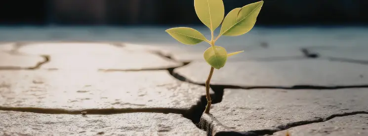 What is Business Resilience