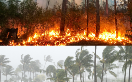 dual image of bushfire and cyclone